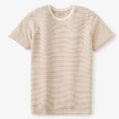 Katin Men's Finley Tee - Wool/Dark Clay